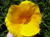 DSC00093.JPG (49659 bytes)
