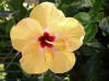 DSC00720 (Medium).JPG (52799 bytes)